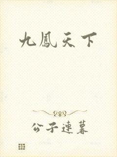 九凤天下