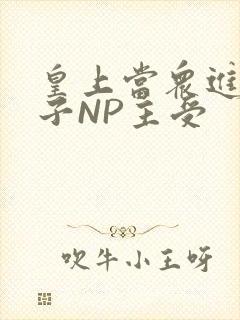 皇上当众进入太子NP主受