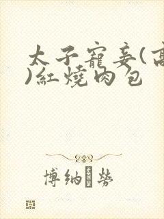 太子宠妾(高肉)红烧肉包