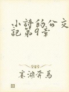 小诗的公交车日记第9章封面