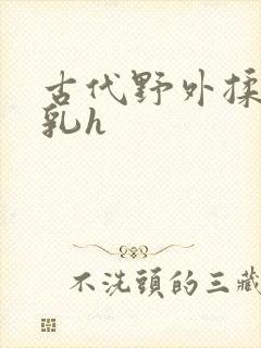 古代野外揉捏娇乳h封面