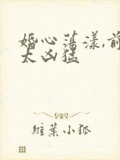 婚心荡漾,前夫太凶猛