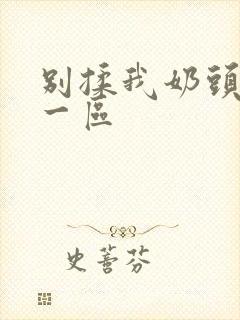 别揉我奶头嗯啊一区