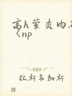 高h荤爽肉欲文〈np