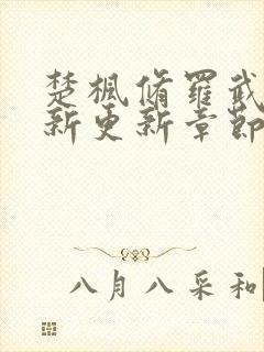 楚枫修罗武神最新更新章节