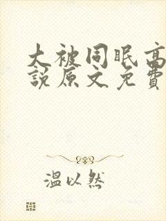 大被同眠高粱小说原文免费阅读