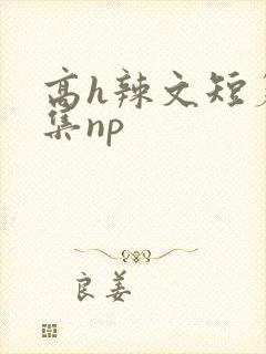 高h辣文短篇合集np