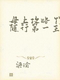 母上攻略 竹影随行第一主板