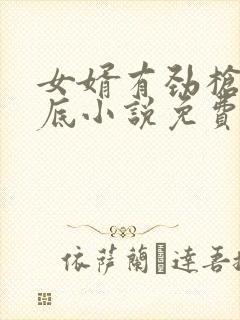 女婿有劲枪枪到底小说免费看