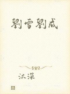 刘雪刘成封面