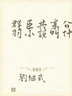 群臣共享公主银羽小说叫什么