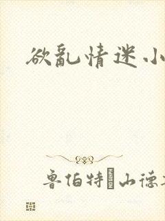 欲乱情迷小说封面