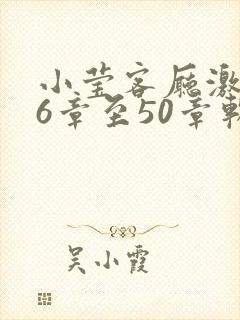 小莹客厅激情46章至50章软件介绍