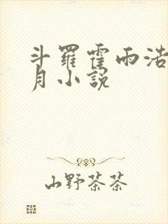 斗罗霍雨浩在日月小说封面