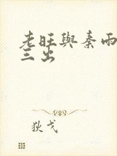 老旺与秦雨三进三出