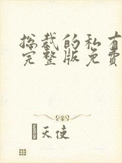 总裁的私有宝贝完整版免费阅读