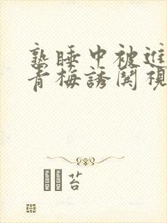 熟睡中被进了H青梅诱哄视频