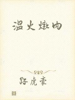 温火炖肉封面