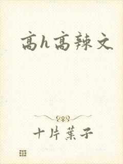 高h高辣文