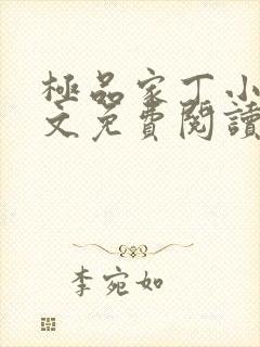 极品家丁小说全文免费阅读封面