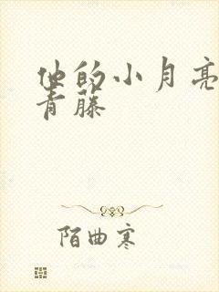 他的小月亮by青藤