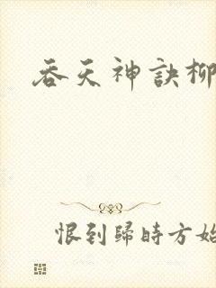 吞天神诀柳无邪