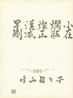 星汉灿烂小说无删减正版在线阅读