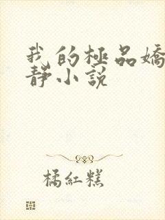 我的极品娇妻张静小说