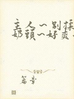 主人～别揉了～奶头~好爽小说封面