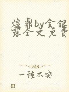 炉鼎by金银花露全文免费阅读笔趣阁