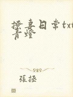 撩妻日常txt青灯封面