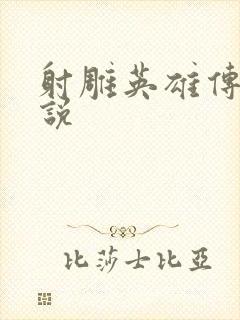 射雕英雄传 小说封面