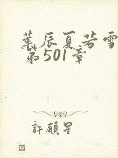 叶辰夏若雪孙怡 第501章