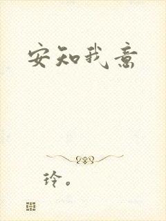 安知我意