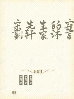 宋先生的宠妻计划轩家沐言