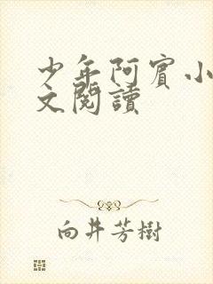 少年阿宾小说全文阅读