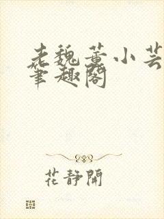 老魏董小芸全文笔趣阁