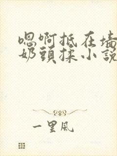 嗯啊抵在墙上h奶头揉小说