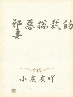 邪恶总裁的娇宠妻