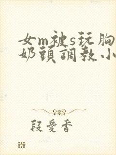 女m被s玩胸虐奶头调教小说