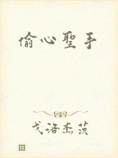 偷心圣手封面