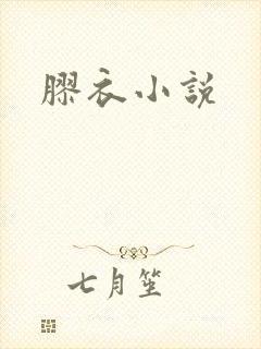 胶衣小说封面