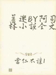 着迷BY阿司匹林小说全文免费阅读