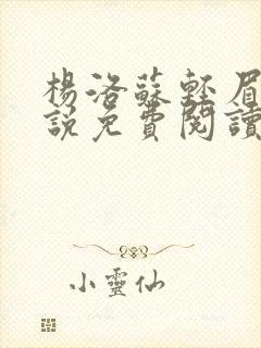 杨洛苏轻眉笔小说免费阅读