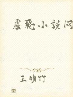 卢飞小说网