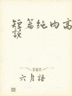 短篇纯肉高h小说