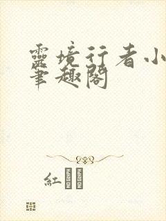 灵境行者小说,笔趣阁封面