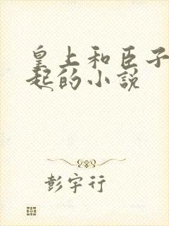 皇上和臣子在一起的小说封面