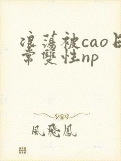 浪荡被cao日常双性np