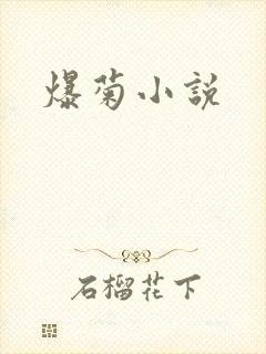 爆菊小说